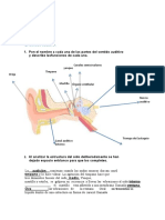Guia Didactica No.2 Pecepcion Humana PDF