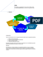 Ciclo de Vida de Un Sistema