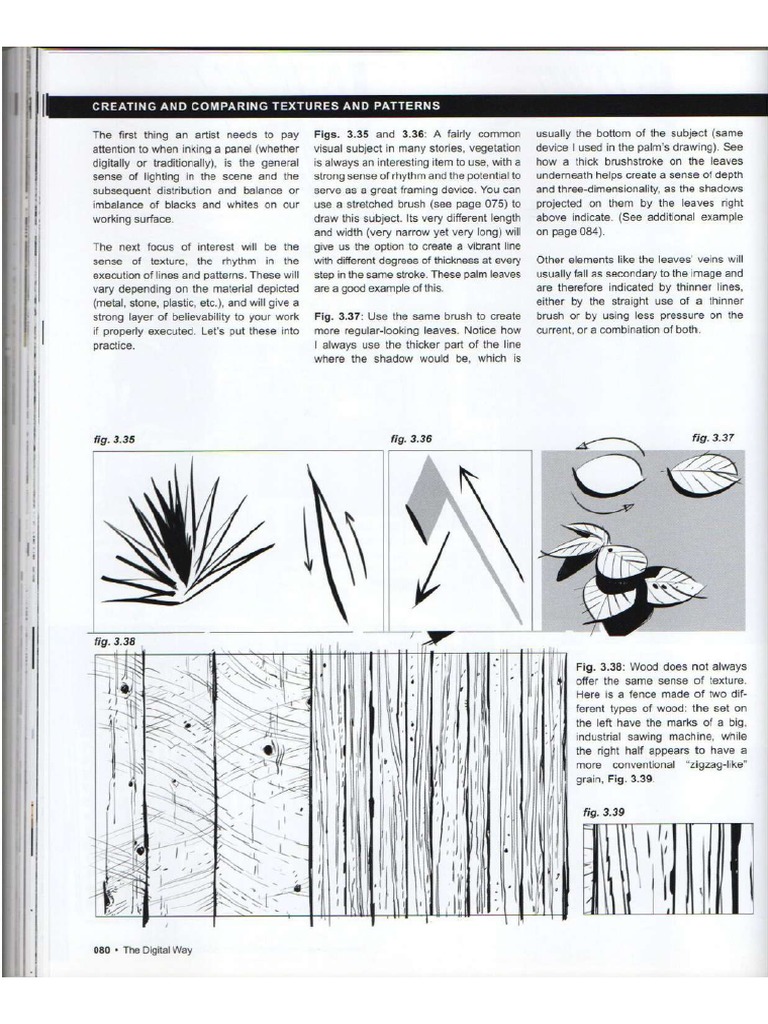 81 PDF | PDF
