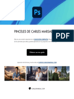 Acceso Pinceles de Carles Marsal (Lite) PDF