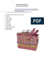 ME129 EyF TAREA Sem03 24