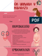 IVU y Embarazo PDF