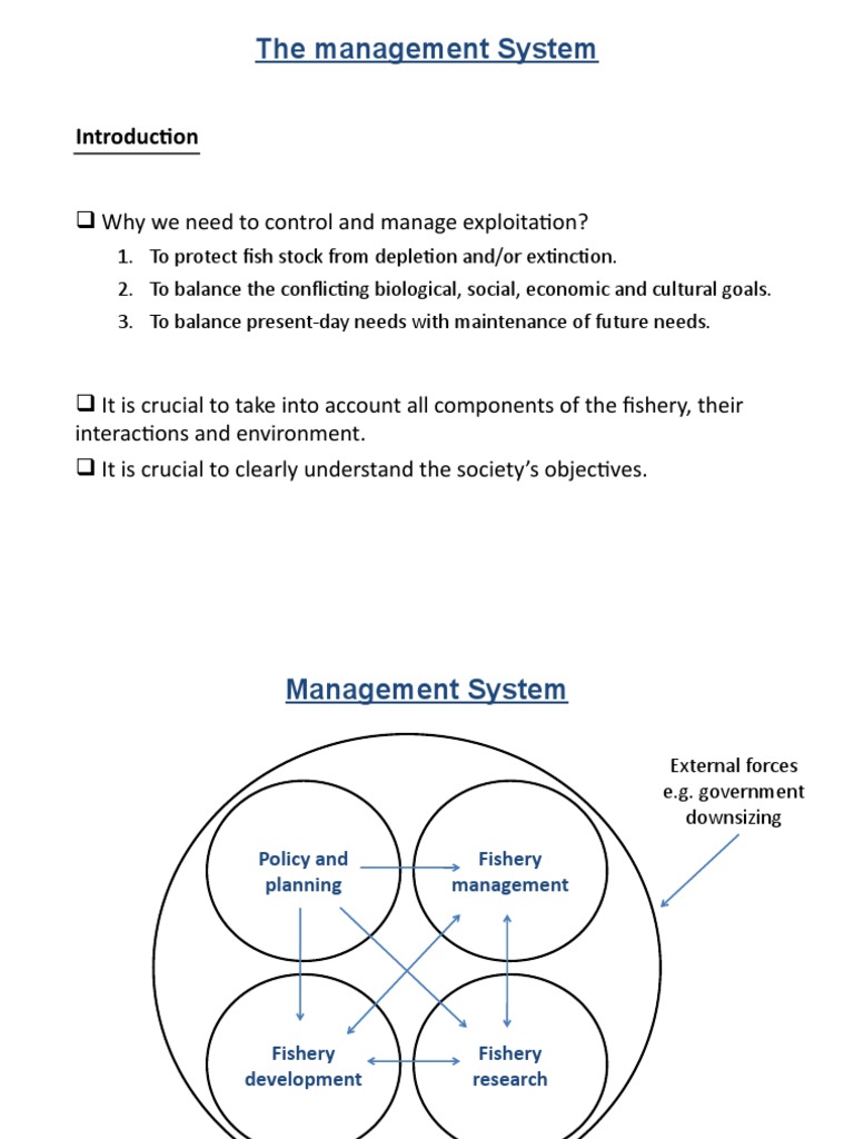 MASF2003 (10) Introduction To Management System + Policy Planning