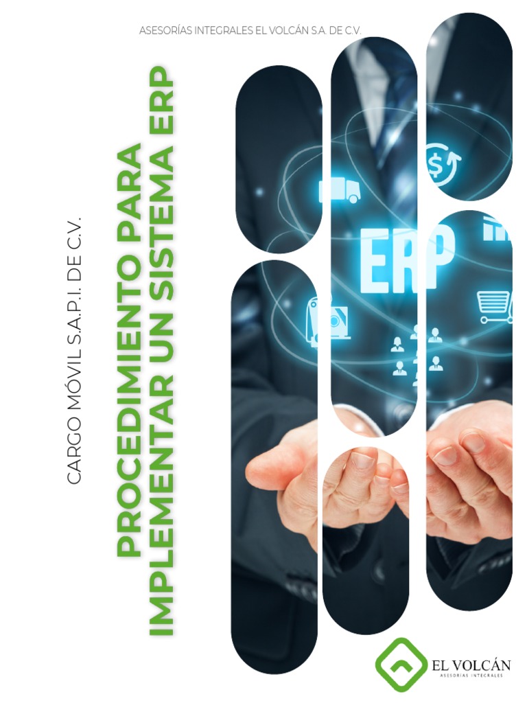 Erp Cargo PDF | PDF