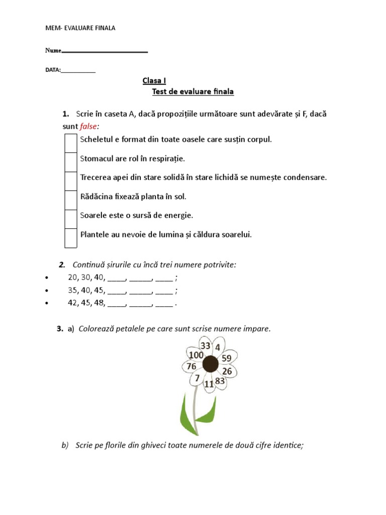 Test - Evaluare - Finala - Clasa 1 MEM | PDF