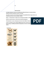 Panaderia PDF
