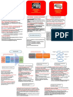 Mapa TEMA 2-Síndrome Disejecutivo Medial y Dorsolateral PDF