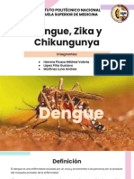 Dengue, Zika y Chikungunya: Enfermedades transmitidas por mosquitos