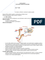 Funcțiile Măduvei Spinării PDF