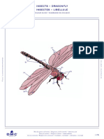 10187602_Dragonfly-in-DMC-PAT0478-Downloadable-PDF-_2.pdf