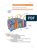 5) Transporte de Solutos PDF