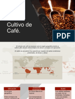 Cultivo de Café PDF