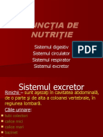 sistemulexcretor_anatomie.pptx