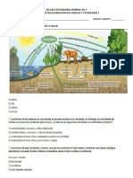 Examen de regularización de Ciencias y Tecnología 1