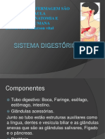 Aula 07 Sistema Digestório PDF