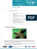 Echinodermes PDF
