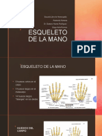 Esqueleto de La Mano