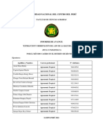 Grupo 2 (Proyecto de Investigación) PDF