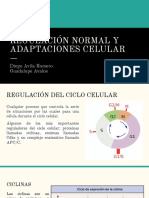 REGULACIÓN Y ADAPTACIONES