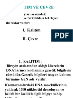 Kalitim Ve Çevre: Canlıların Soyları Arasındaki Benzerlikler Ve Farklılıkları Belirleyen Iki Faktör Vardır