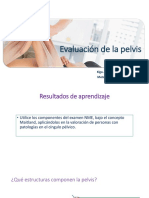 C11 Evaluación de Pelvis PDF