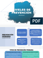 Tipos de Prevención PDF