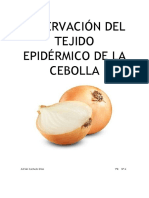 Informe Biología PDF
