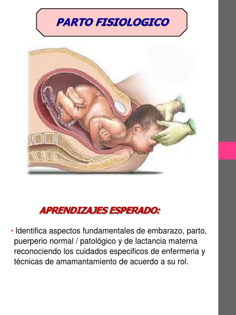 Clase 4 Parto PDF | PDF