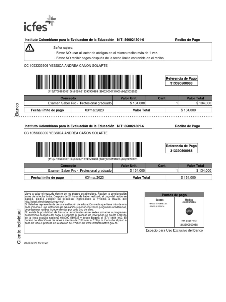 Pruebas pro pdf pdf