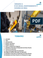 Capacitacion PUENTE GRUA PDF