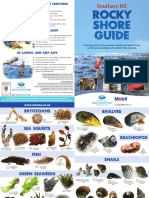 Rocky Shore Organisms PDF