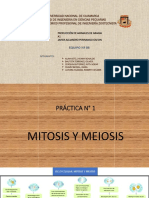 Mitosisi y Meiosis Ciclo Celular