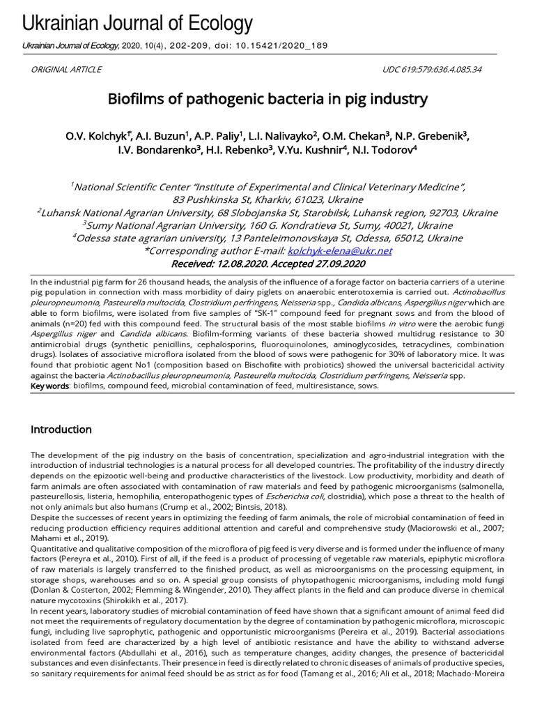 Positive Biofilms in Pig Nutrition | PDF