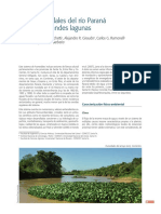 Humedales Del Rio Paraná Con Grandes Lagunas PDF