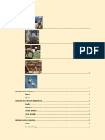Examen Ii Bimestre Resuelto PDF