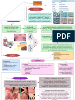 Resumen - Candidiasis Cutánea PDF