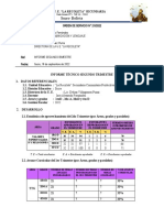 Direccion Informe