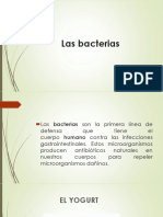 Las Bacterias