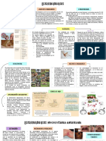 Resumen de Leishmaniasis PDF