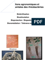 Application Des Microorganismes Rhizosphériques 2022 2023 PDF