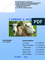 Catalogo Ovino y Caprino