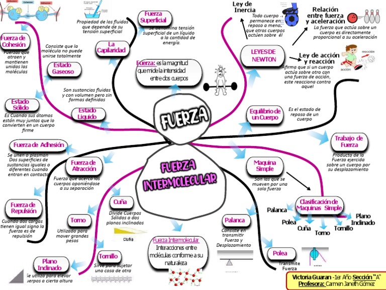 Mapa Araña | PDF | Fuerza | Líquidos