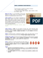 Ginecología 1 PDF