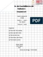 Practica Numero 3 PDF
