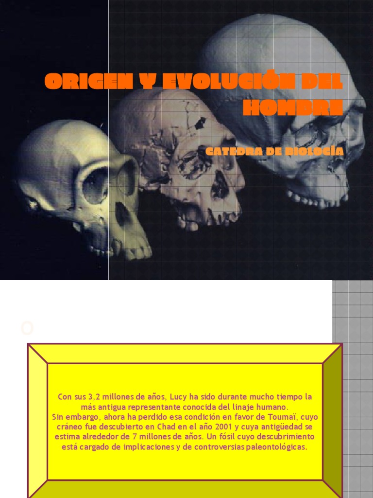 Evolución y Origen del Hombre | PDF | Homo | Evolución humana