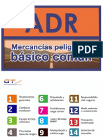Adr Basico PDF