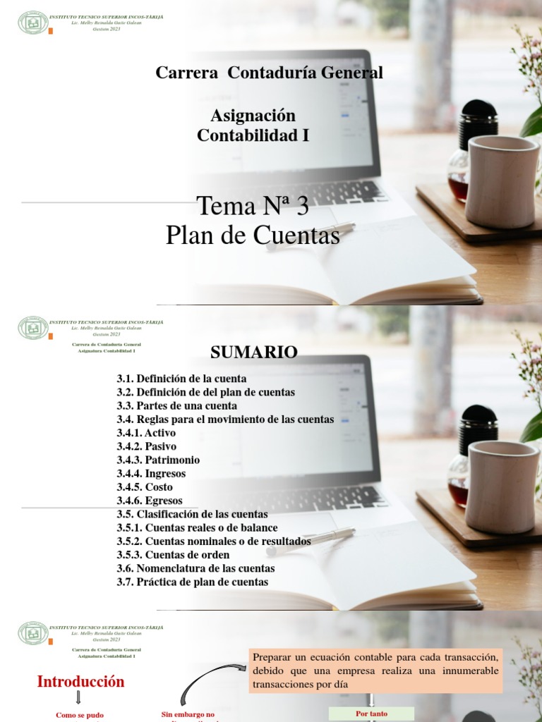 Tema N 3 PLAN DE CUENTAS | PDF