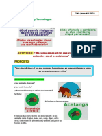 Rol Que Cumplen Los Animales en El Ecosistema PDF