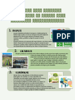 Acciones para Prevenir Situaciones de Riesgo Ante Fenómenos Climatológicos PDF