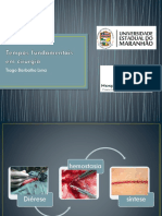 Tempos Fundamentais em Cirurgia PDF